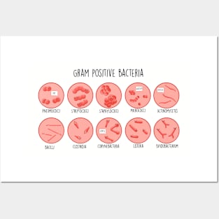 Gram Positive Bacteria Posters and Art